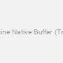 10X Tris-Glycine Native Buffer (Transfer buffer)